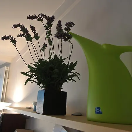 Apartment Studio Rue Des Tournelles